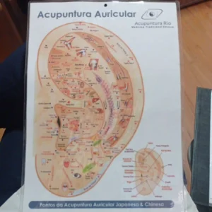 Mapa Auricular Tamanho A4 Dupla Face - Pontos da Auriculoterapia Chinesa