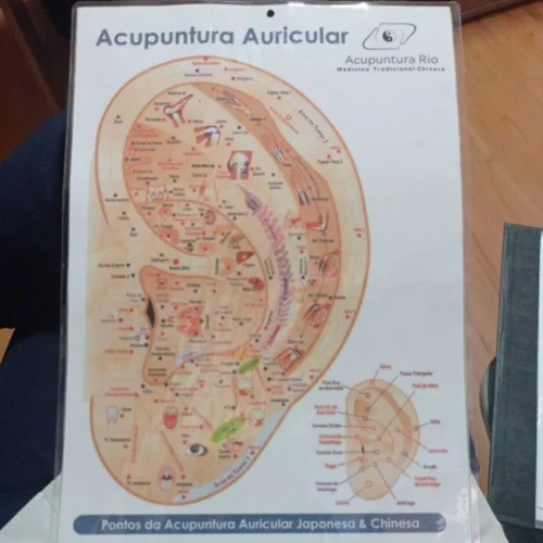 Mapa Auricular Tamanho A4 Dupla Face - Pontos da Auriculoterapia Chinesa