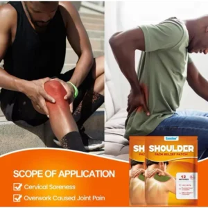 Moxa Adesivo de Artemísia e Cânfora com 12 Unidades para Dores Musculares