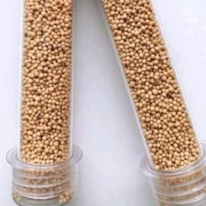 Sementes de Mostarda para Auriculoterapia: 2 Tubetes de 20g - Qualidade Premium