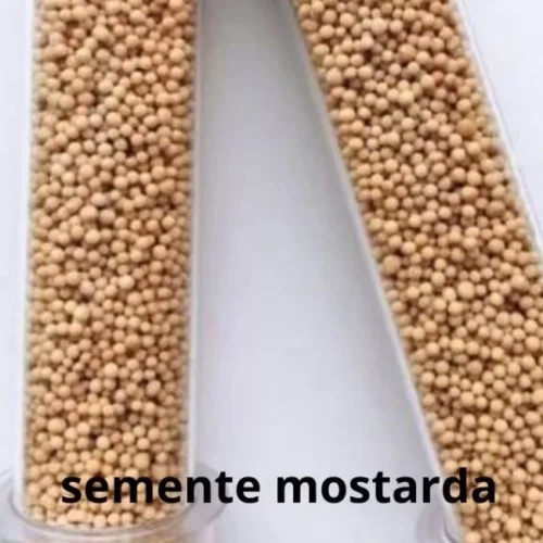 Sementes de Mostarda para Auriculoterapia: 2 Tubetes de 20g - Qualidade Premium - Imagem 3